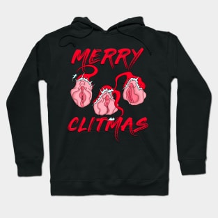 Merry Christmas Vulvas Hoodie